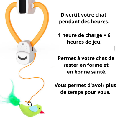 Smart Ball - Résolvez l'ennui de votre chat en quelques secondes