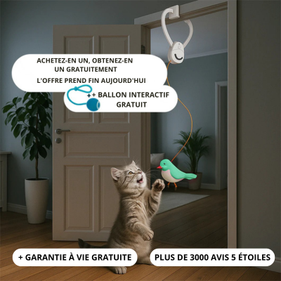 Smart Ball - Résolvez l'ennui de votre chat en quelques secondes