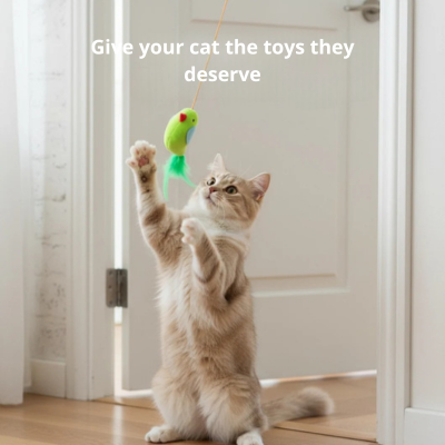 Smart Ball - Résolvez l'ennui de votre chat en quelques secondes