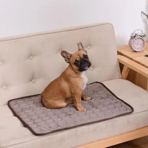 Esterilla Cooling ™ - para perros y gatos