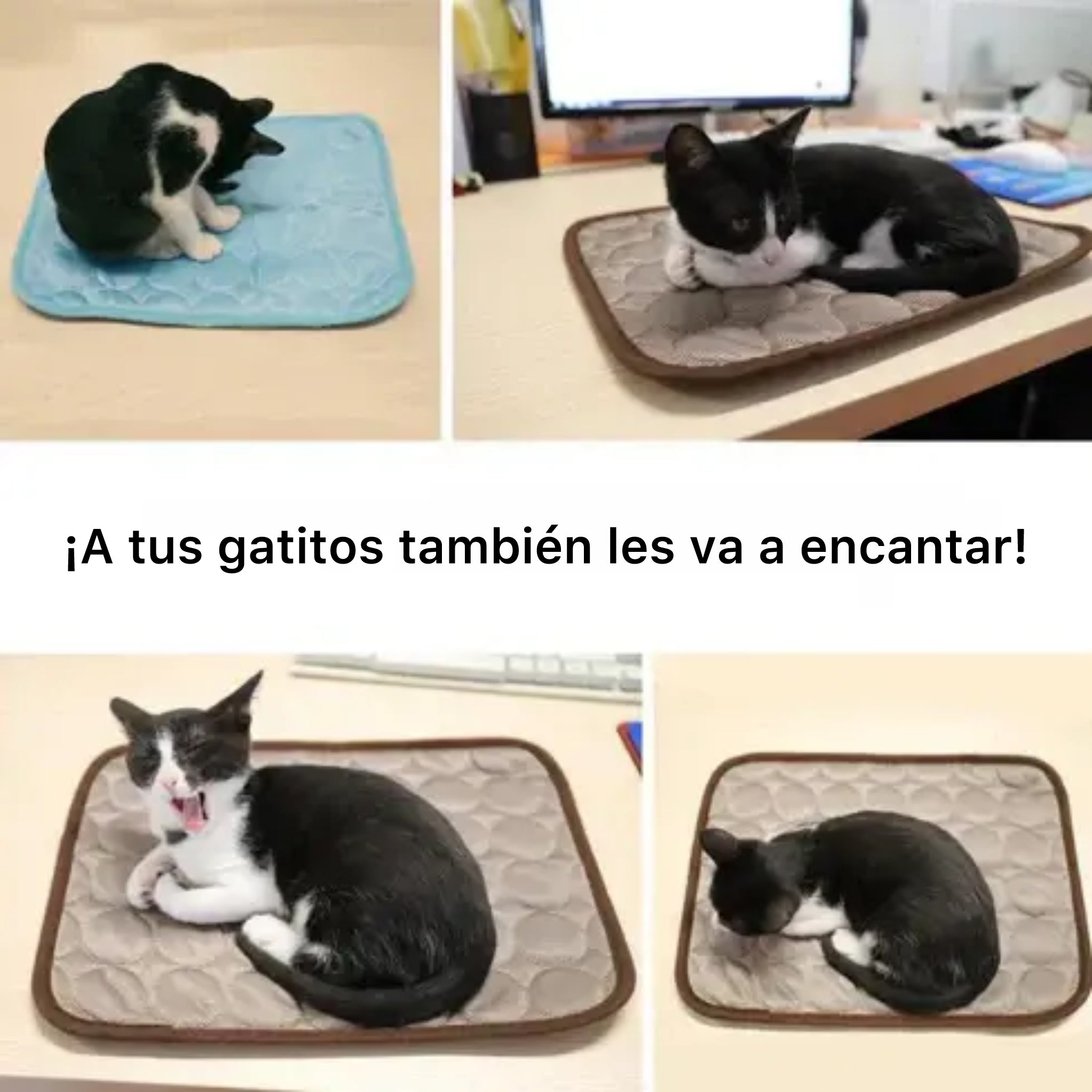 Esterilla Cooling ™ - para perros y gatos